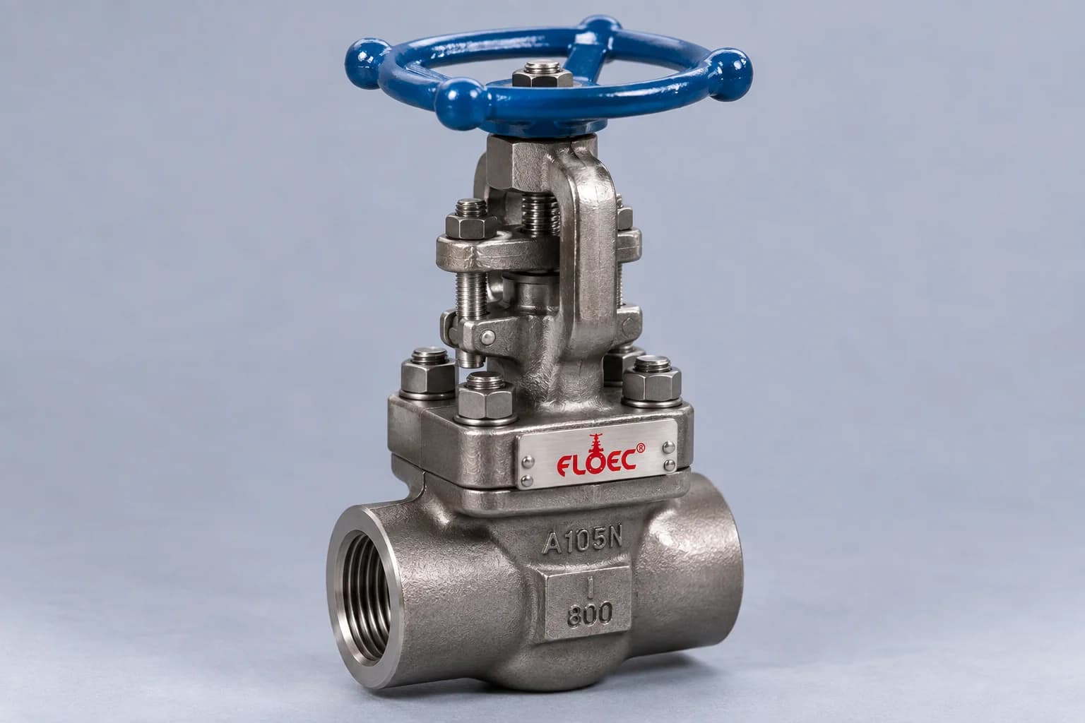 Forged Steel Valves